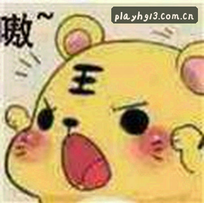吴凯